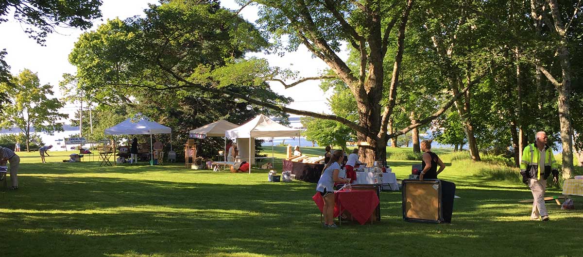 library fair on the village green